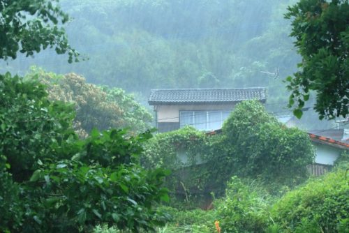 雨の日のお墓参り