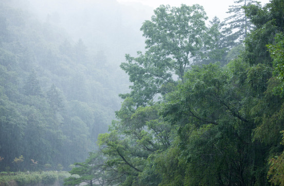 梅雨の時期の山